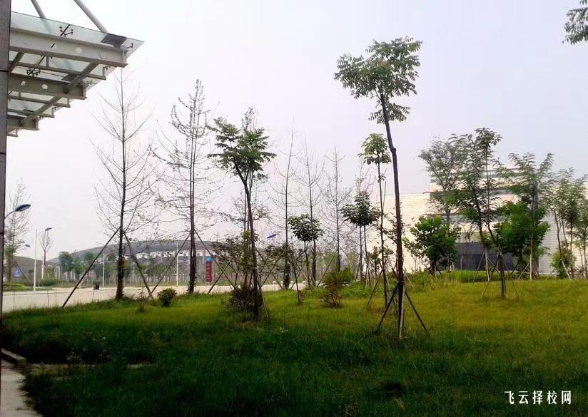 四川建筑職業(yè)技術(shù)學(xué)院2024單招怎么報名