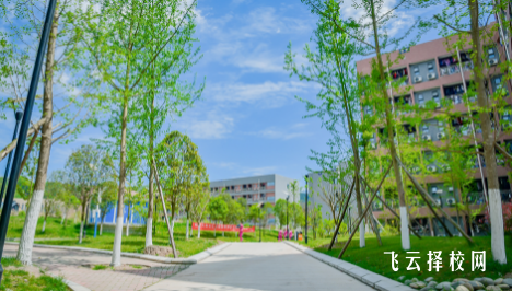 四川科技職業學院2024單招怎么報名