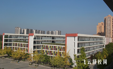 四川商務(wù)職業(yè)學院2024單招怎么報名