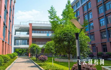 四川托普信息技術(shù)職業(yè)學(xué)院2024單招怎么報名