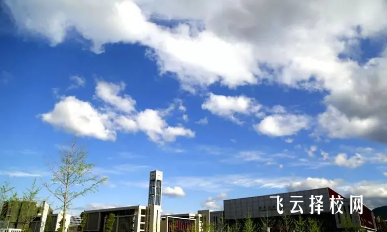 四川信息職業技術學院2024單招怎么報名