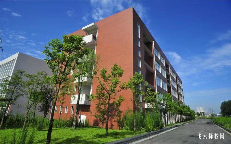 西南財經大學天府學院2024單招怎么報名