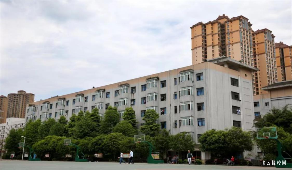 雅安職業技術學院2024單招怎么報名