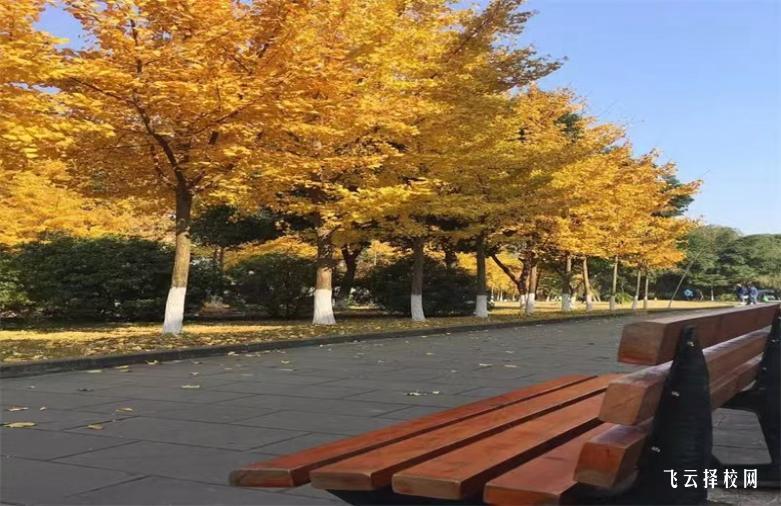 宜賓職業技術學院2024單招怎么報名