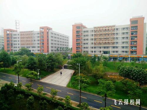 成都工業(yè)職業(yè)技術(shù)學(xué)院2024單招是面試還是筆試