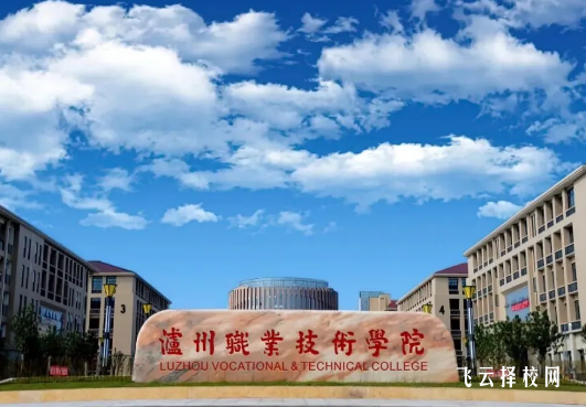 瀘州職業技術學院2024單招是面試還是筆試