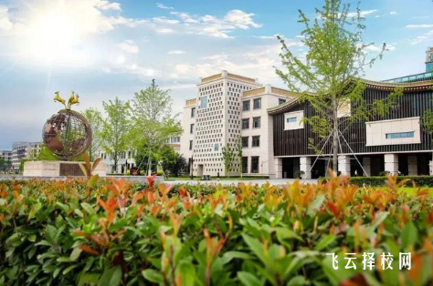 綿陽飛行職業學院2024單招是面試還是筆試