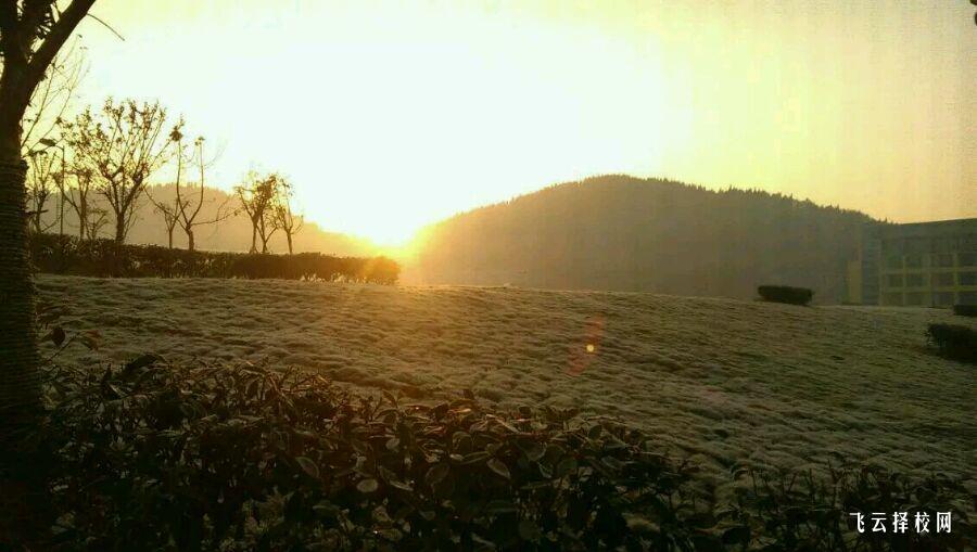 四川護理職業學院2024單招是面試還是筆試