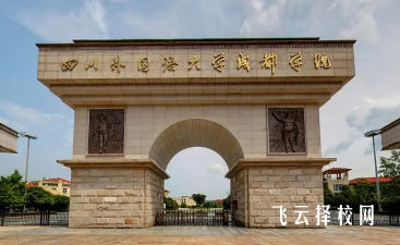 四川外國語大學成都學院2024單招是面試還是筆試