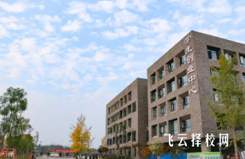 四川衛(wèi)生康復(fù)職業(yè)學(xué)院2024單招是面試還是筆試