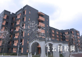 四川現代職業學院2024單招是面試還是筆試