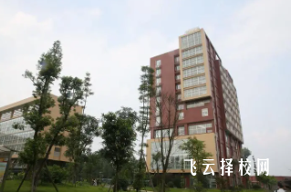 四川藝術職業學院2024單招是面試還是筆試