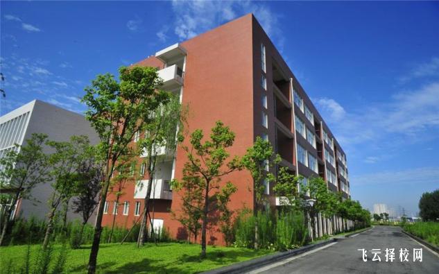 西南財經大學天府學院2024單招是面試還是筆試