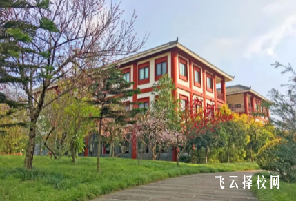 成都文理學院有單招培訓嗎