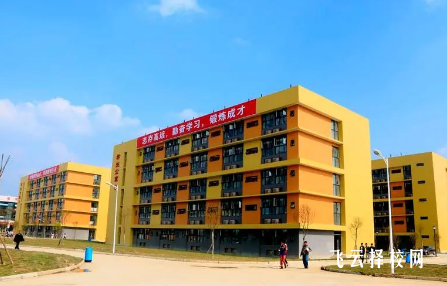 成都藝術職業大學有單招培訓嗎