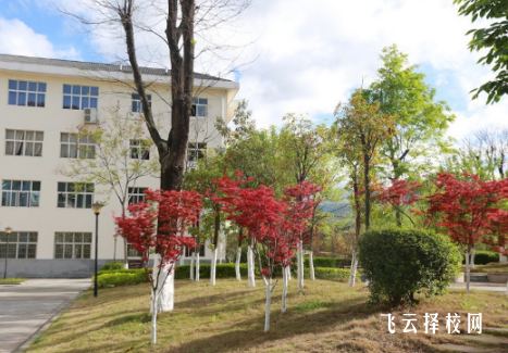 川北幼兒師范高等?？茖W(xué)校有單招培訓(xùn)嗎