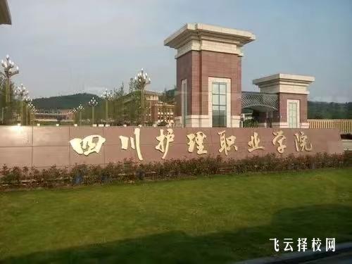 四川護(hù)理職業(yè)學(xué)院有單招培訓(xùn)嗎