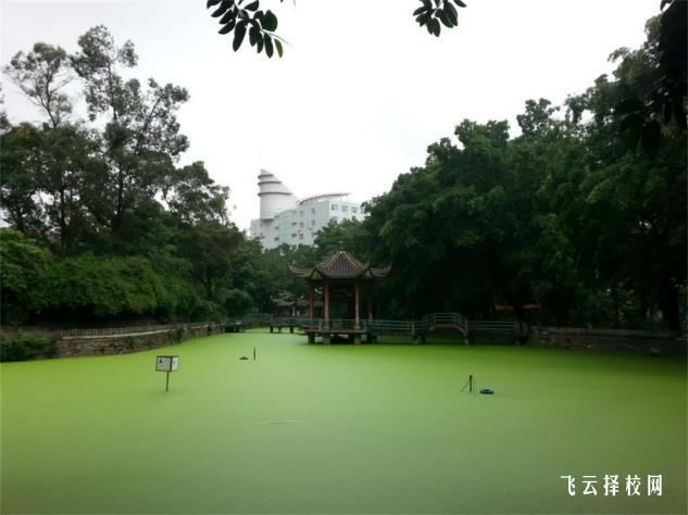 四川機(jī)電職業(yè)技術(shù)學(xué)院有單招培訓(xùn)嗎