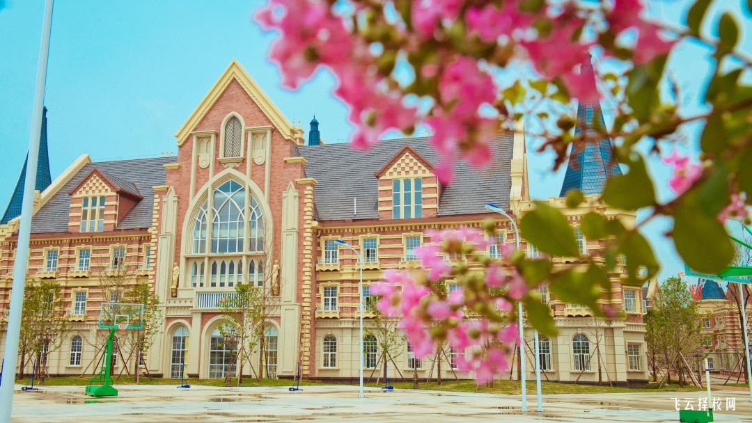 四川文化傳媒職業學院有單招培訓嗎