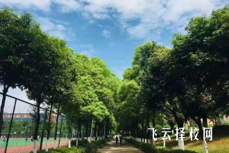 四川長江職業(yè)學(xué)院有單招培訓(xùn)嗎