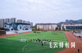 天府新區(qū)信息職業(yè)學(xué)院有單招培訓(xùn)嗎