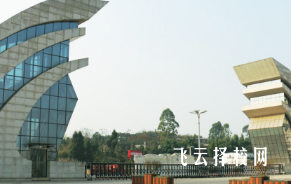 天府新區(qū)信息職業(yè)學(xué)院有單招培訓(xùn)嗎