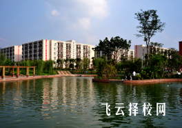 成都文理學(xué)院怎么查單招成績(jī)