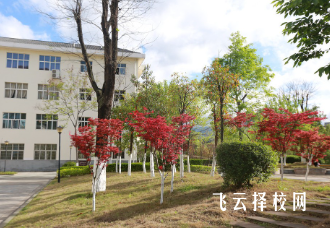 川北幼兒師范高等專科學校怎么查單招成績