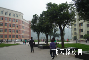 達州職業(yè)技術(shù)學院怎么查單招成績