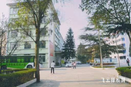 樂山職業技術學院怎么查單招成績