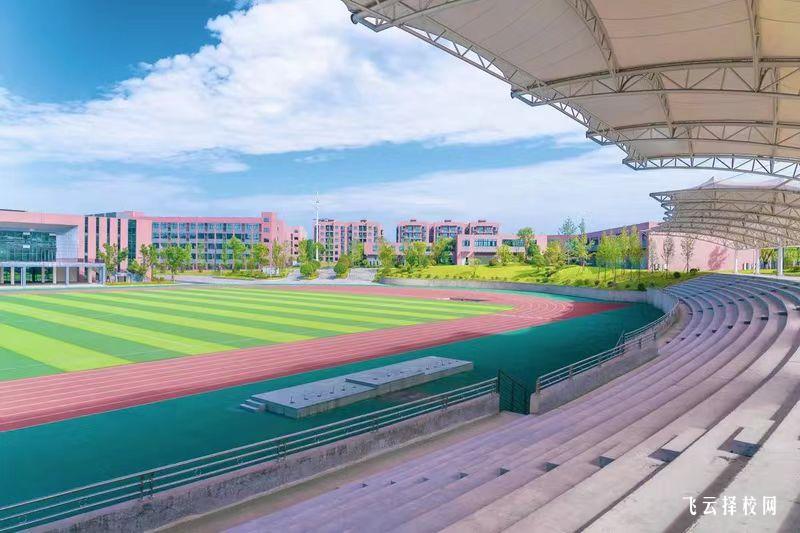 瀘州醫(yī)療器械職業(yè)學(xué)院怎么查單招成績(jī)