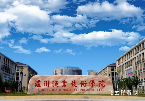 瀘州職業技術學院怎么查單招成績