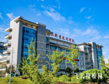 眉山職業(yè)技術(shù)學院怎么查單招成績