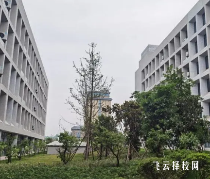 內江衛生與健康職業學院怎么查單招成績