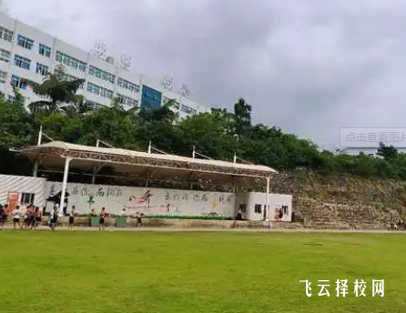 攀枝花攀西職業學院怎么查單招成績