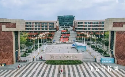 四川城市職業學院怎么查單招成績