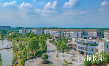 四川工商職業(yè)技術(shù)學(xué)院怎么查單招成績(jī)