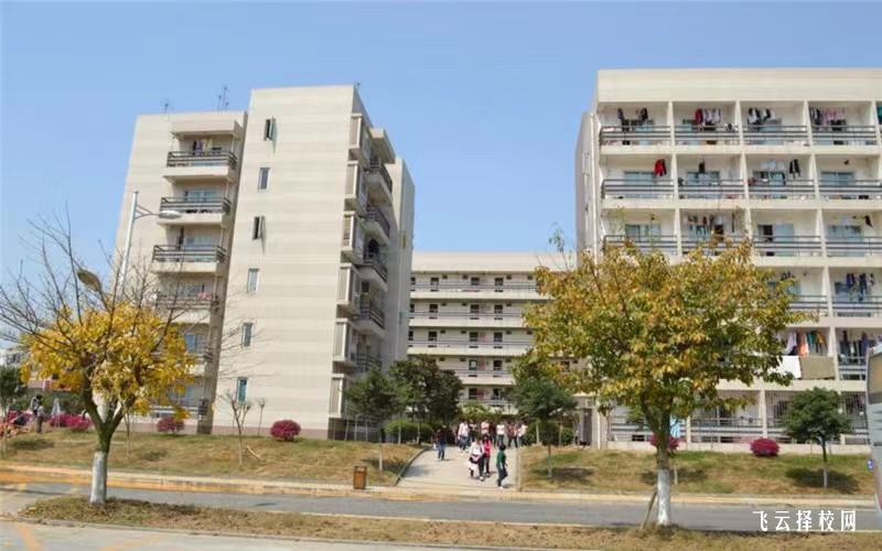 四川華新現代職業學院怎么查單招成績