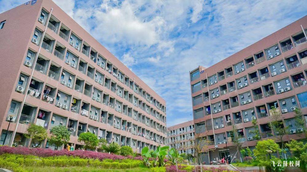 四川科技職業(yè)學(xué)院怎么查單招成績