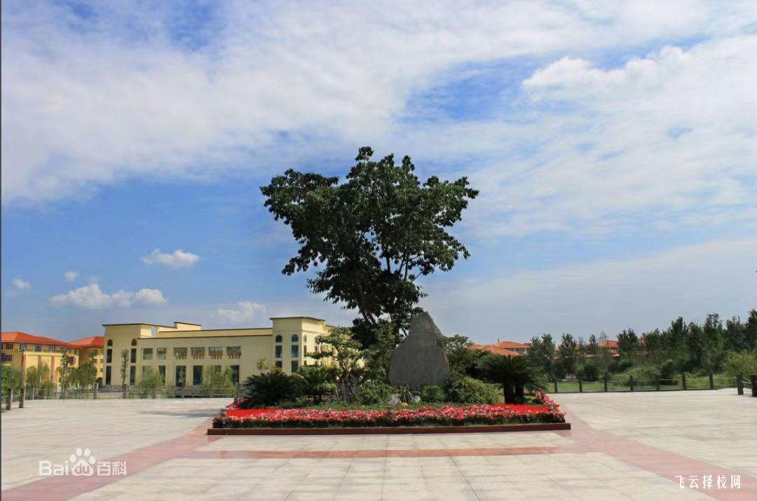 四川外國語大學成都學院怎么查單招成績