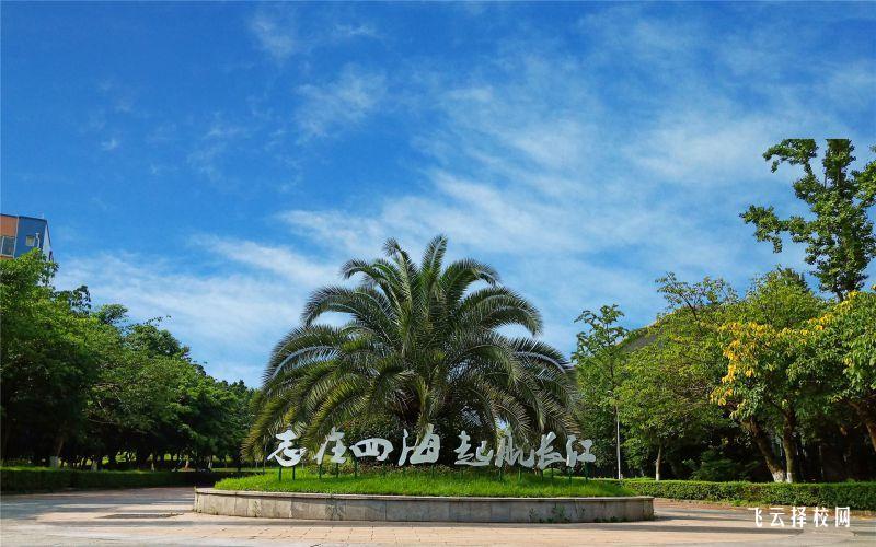 四川長江職業學院怎么查單招成績