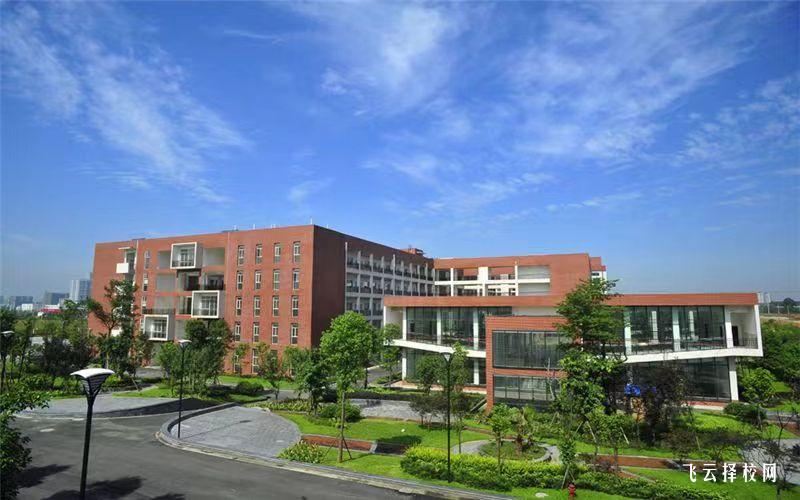 西南財經大學天府學院怎么查單招成績