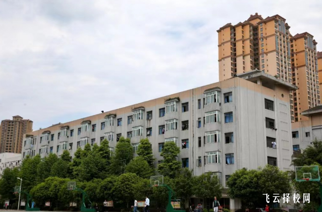 雅安職業(yè)技術(shù)學(xué)院怎么查單招成績