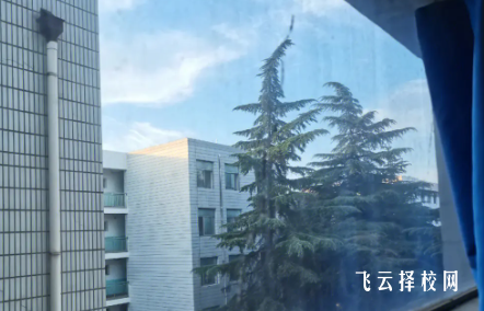 2024單招可以報本科里的專科嗎