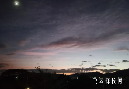 2024單招可以通過什么渠道報名