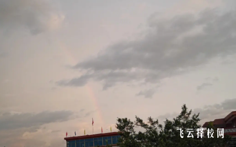 2024單招可以通過什么渠道報名