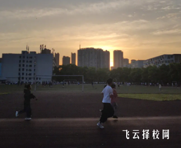 2024單招是什么人可以報嗎