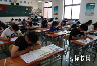 2024單招隨時都可以報名嗎