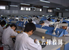 2024單招有專業限制嗎