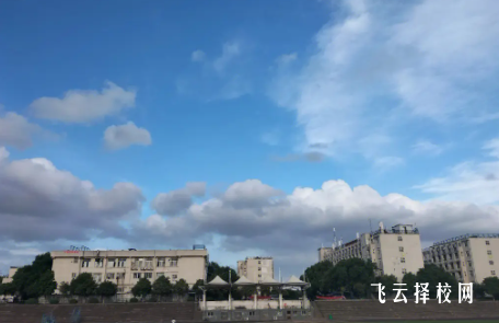 2024單招走的是專科嗎